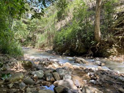 Desamparados, San José