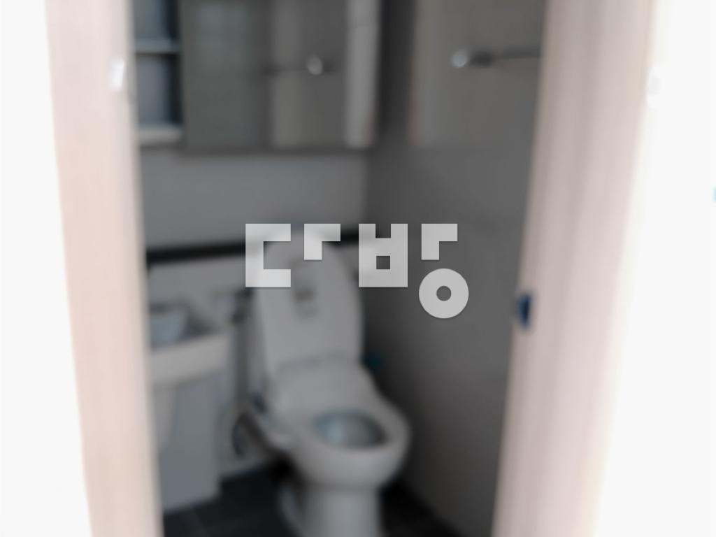 Sejong, 보람동, 스타힐타워Ⅰ(도시형)