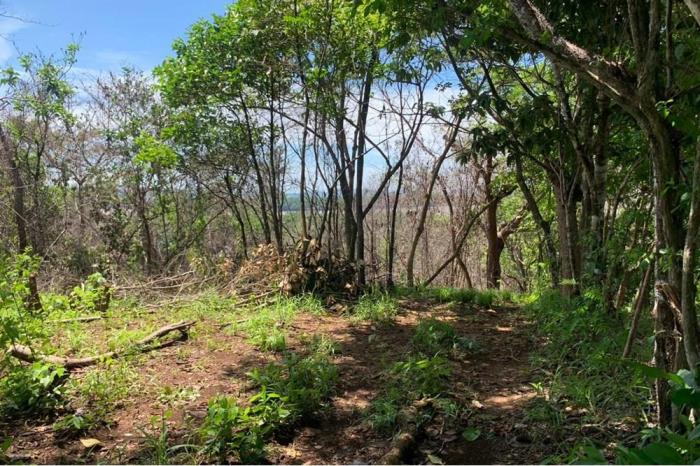 Se vende propiedad de 2 hectareas ( 4.94 acres), la luna, farfan. sona-veraguas